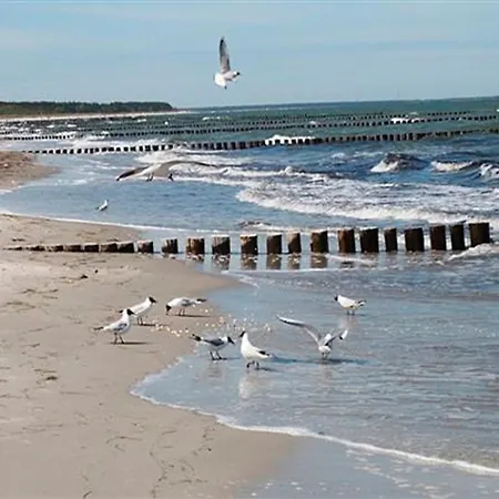 Apartment Freesenkietz, Fw 24 Zingst