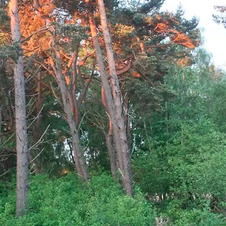 Lägenhet Freesenkietz, Fw 24